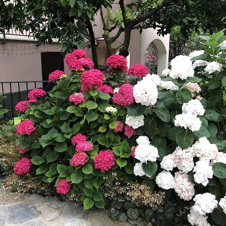 B&B Ca' Du Brigidin Tovo San Giacomo Экстерьер фото