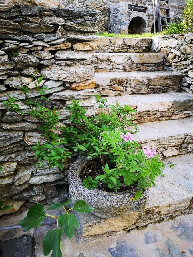 B&B Ca' Du Brigidin Tovo San Giacomo Экстерьер фото